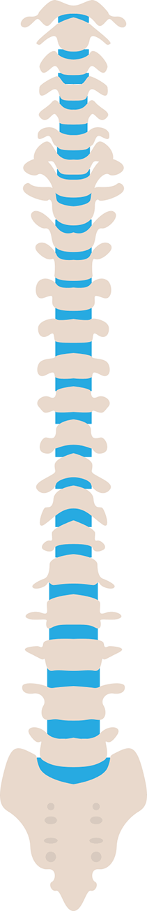 chiropractic spine alignment